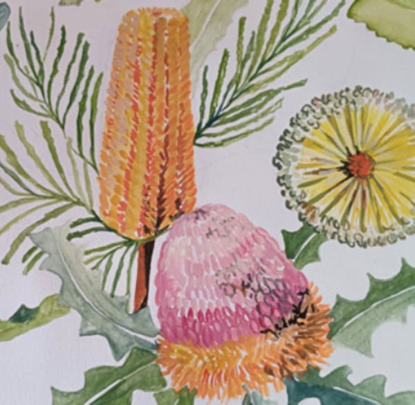 Introduction to Nature Journaling Workshop