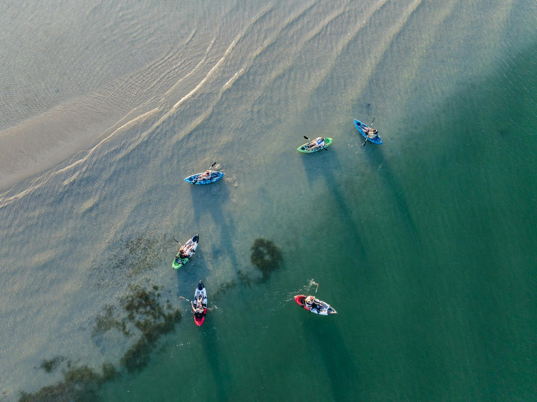 Sunrise Wildlife & Wetlands Kayaking Tour
