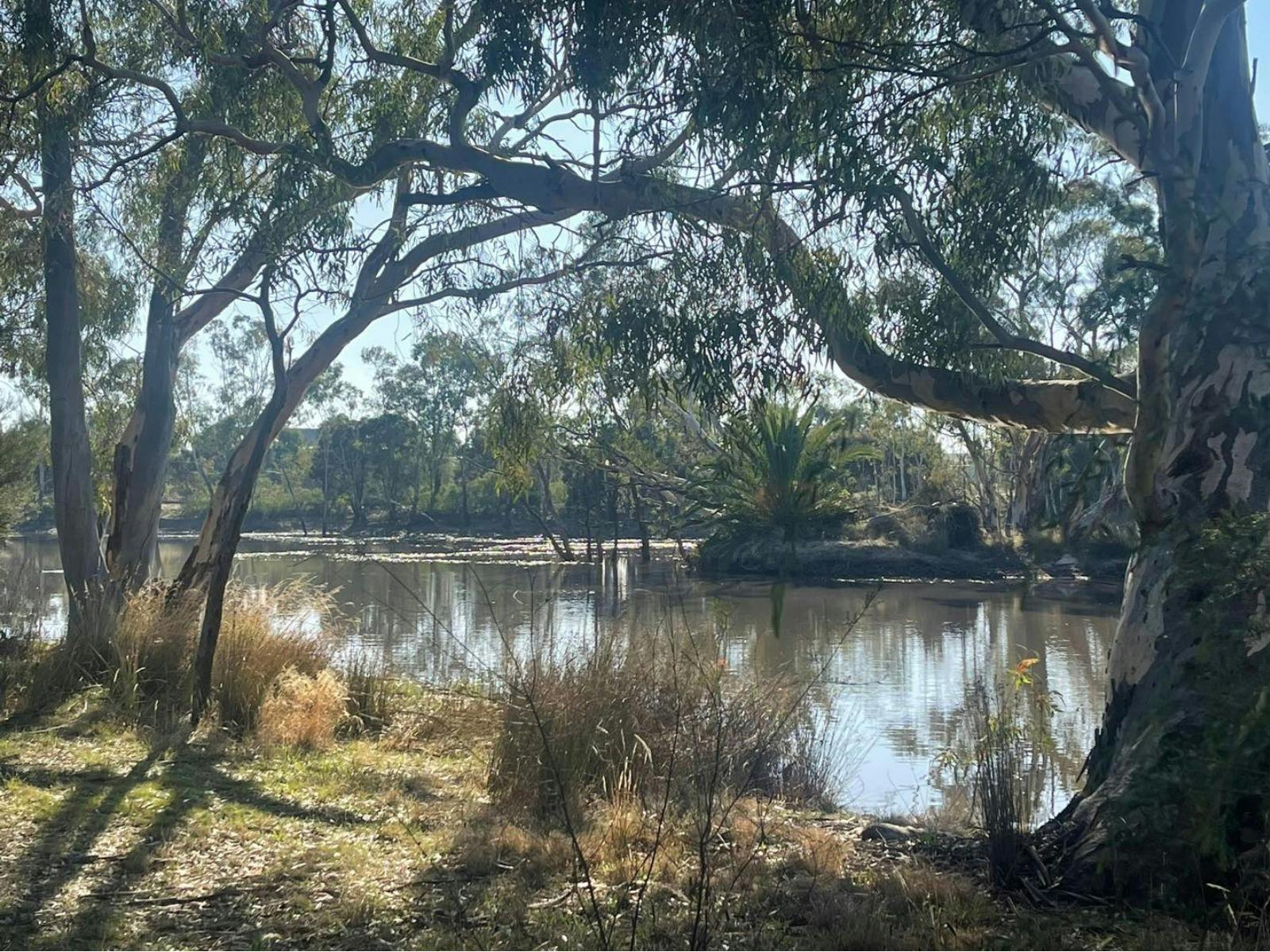 Wimmera River