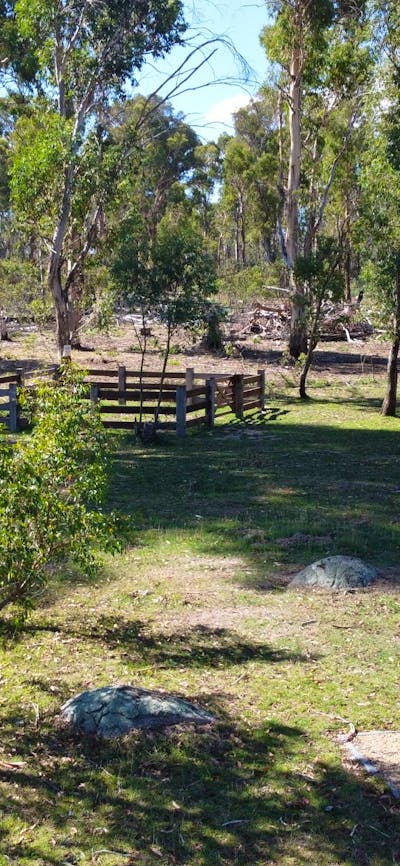 Picnic facilities at Paling Yards, Bago State Forest