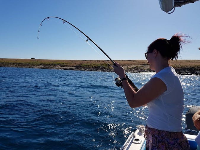 Bay Fishing Full Day Tour