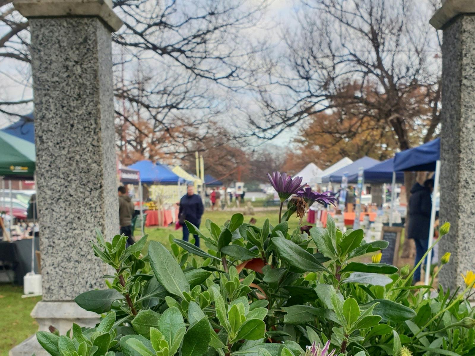 Image for Mansfield Farmers' Market