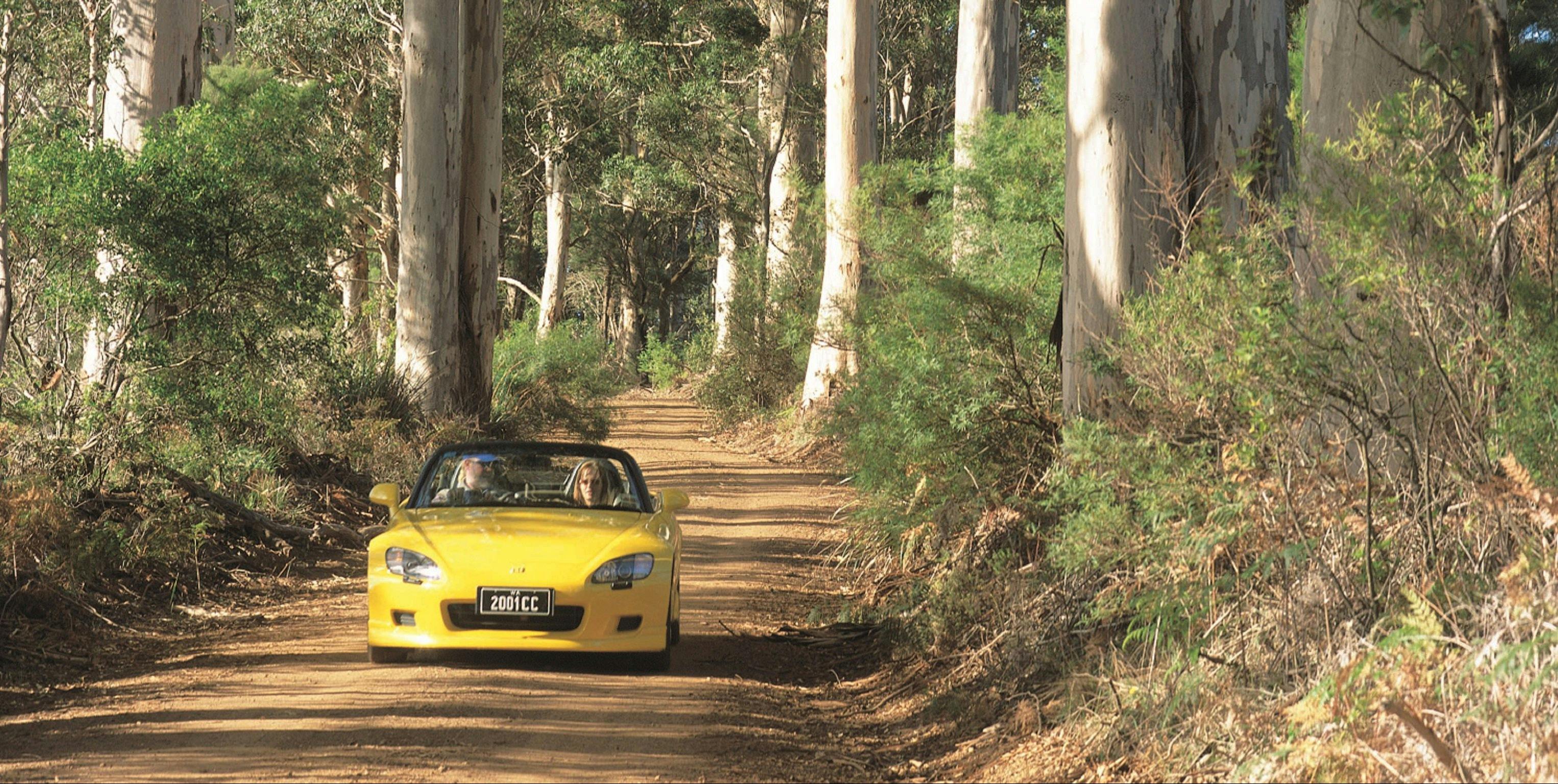 Scotsdale Tourist Drive