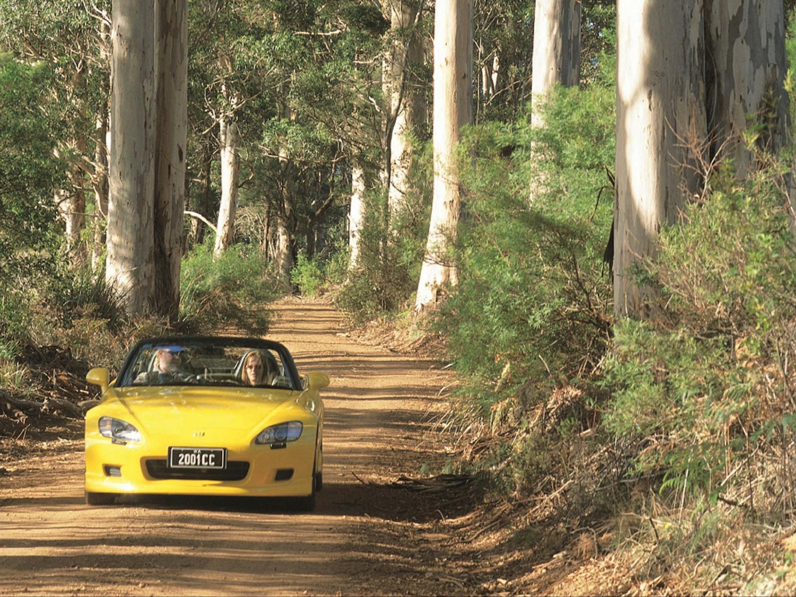 Scotsdale Tourist Drive