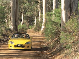 Scotsdale Tourist Drive
