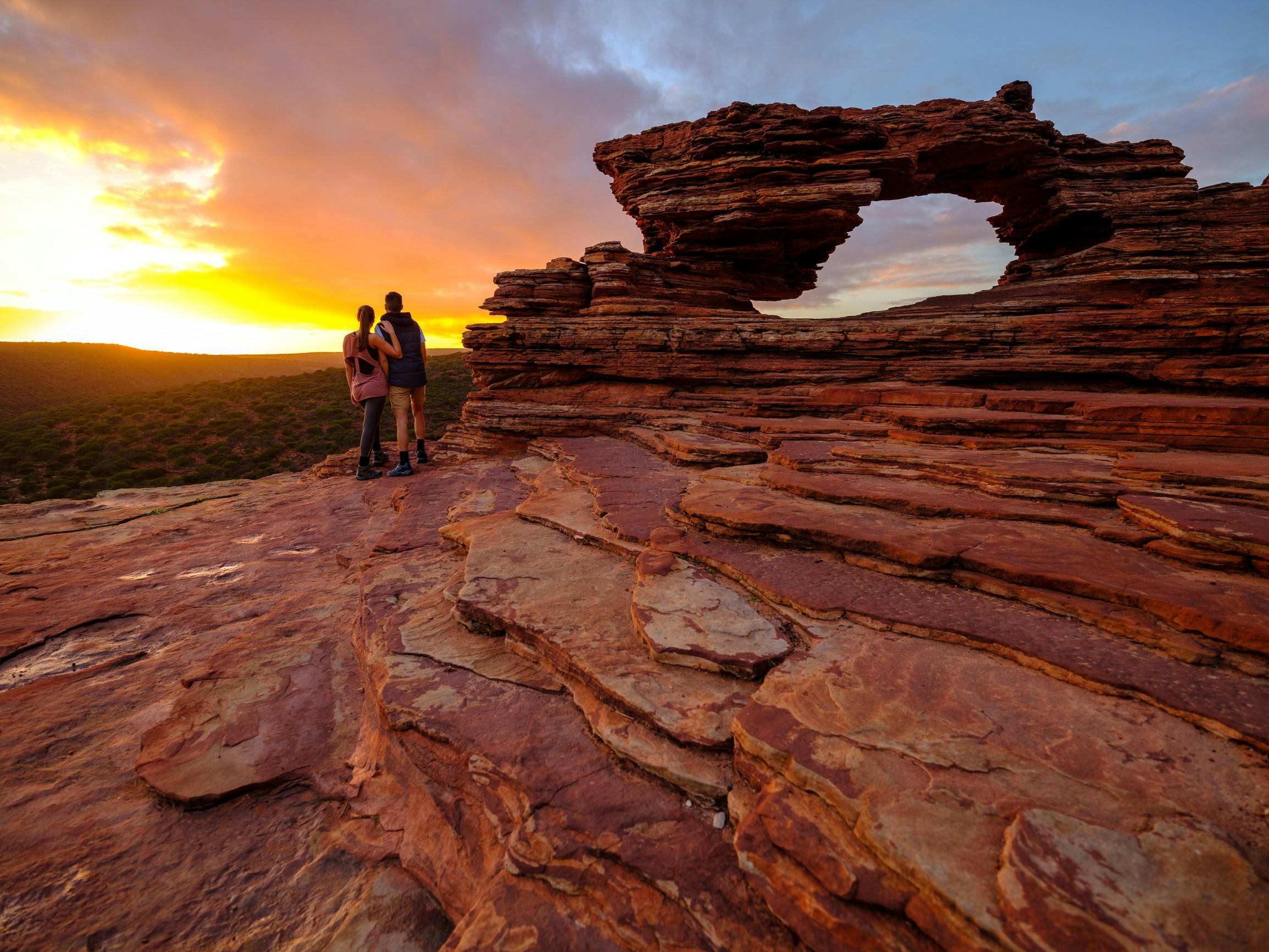 Nature's Window
