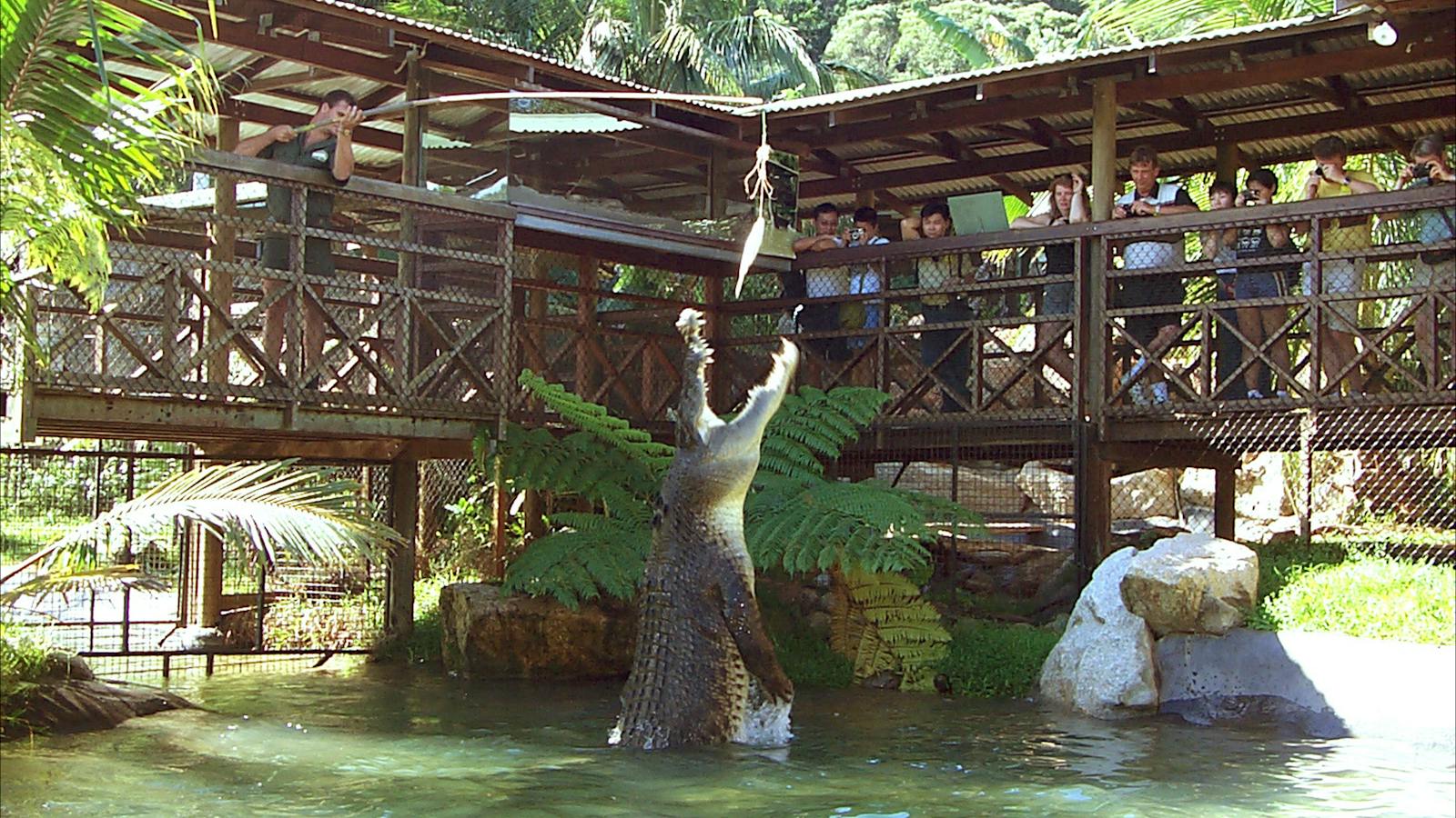 Wildlife Park - Rainforestation