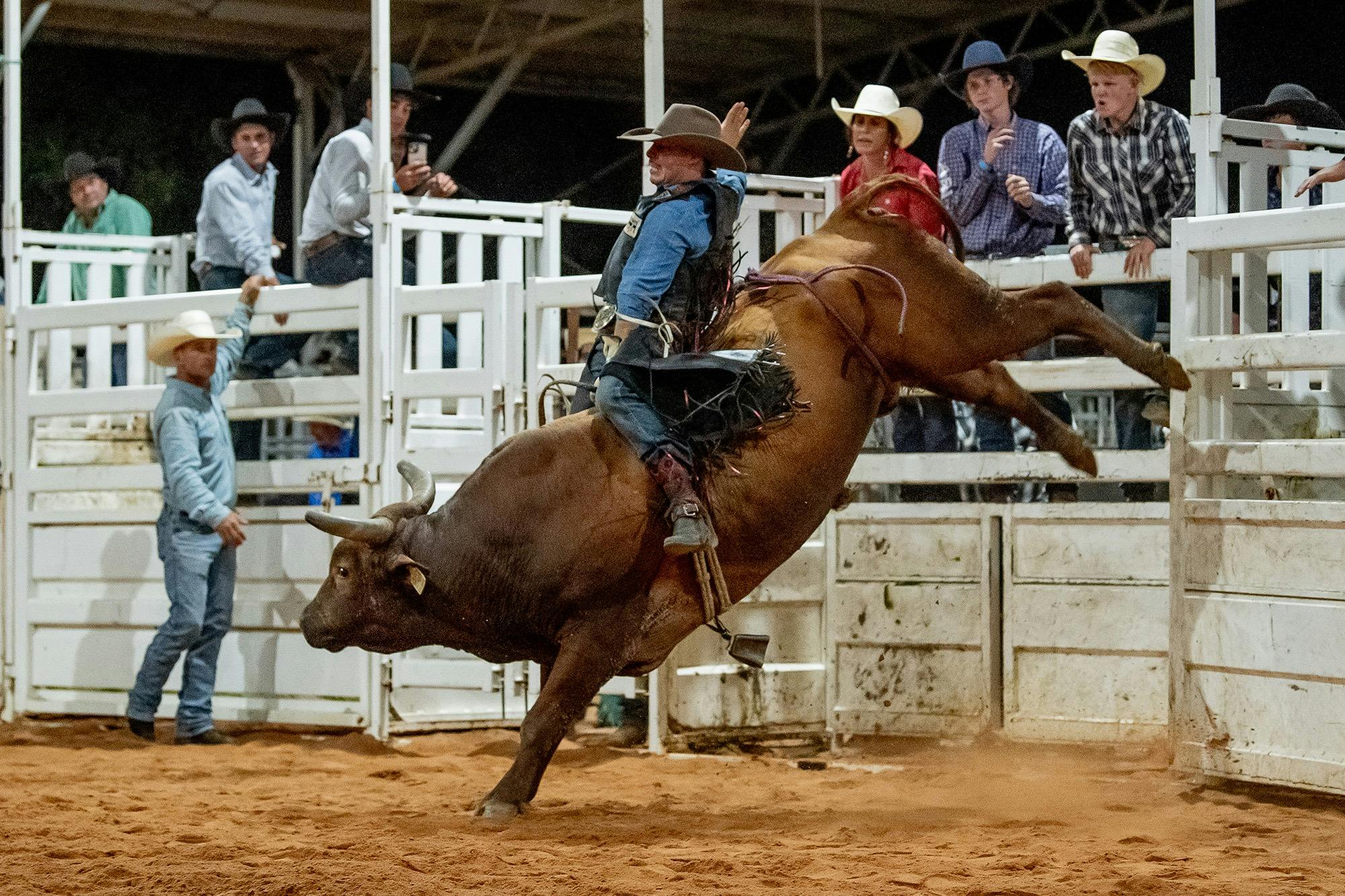 Bikes and Bulls - Brisbane