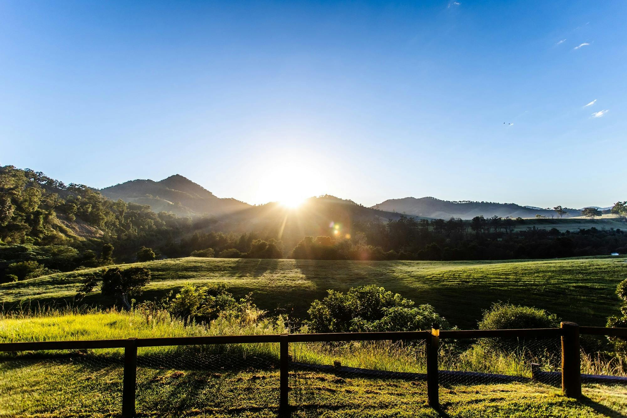 Finding Grace Wellness and Sustainability