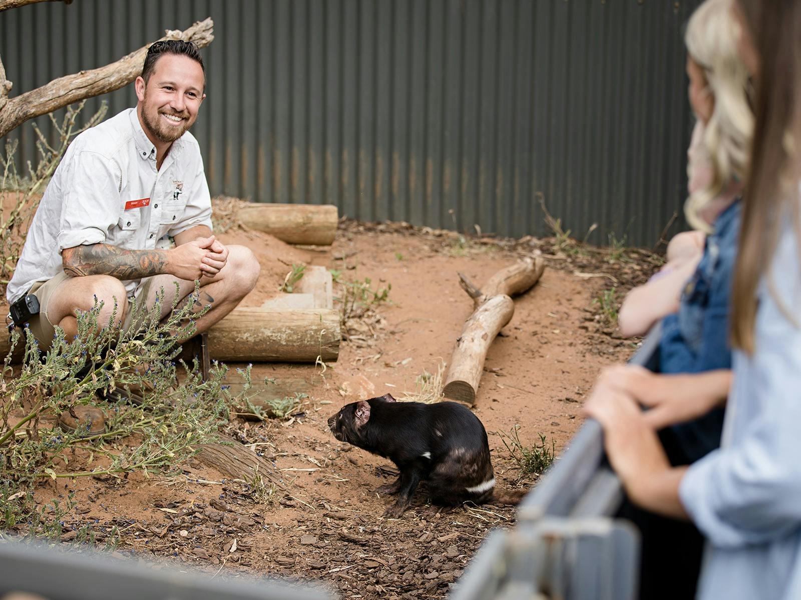 Tasmanian Devil habitat at Monarto Safari Park.