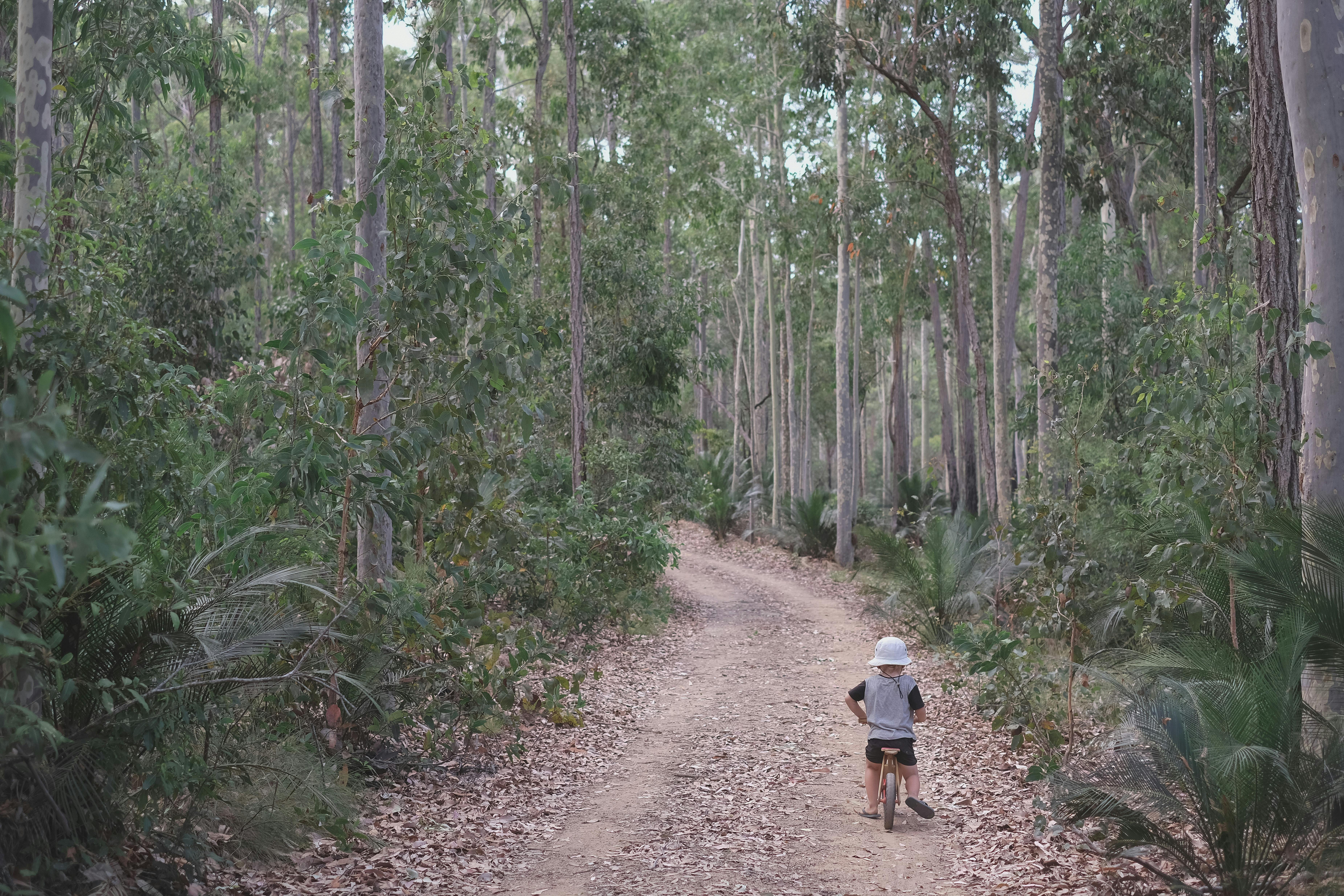 Lake Mummuga Wellness Walking Track