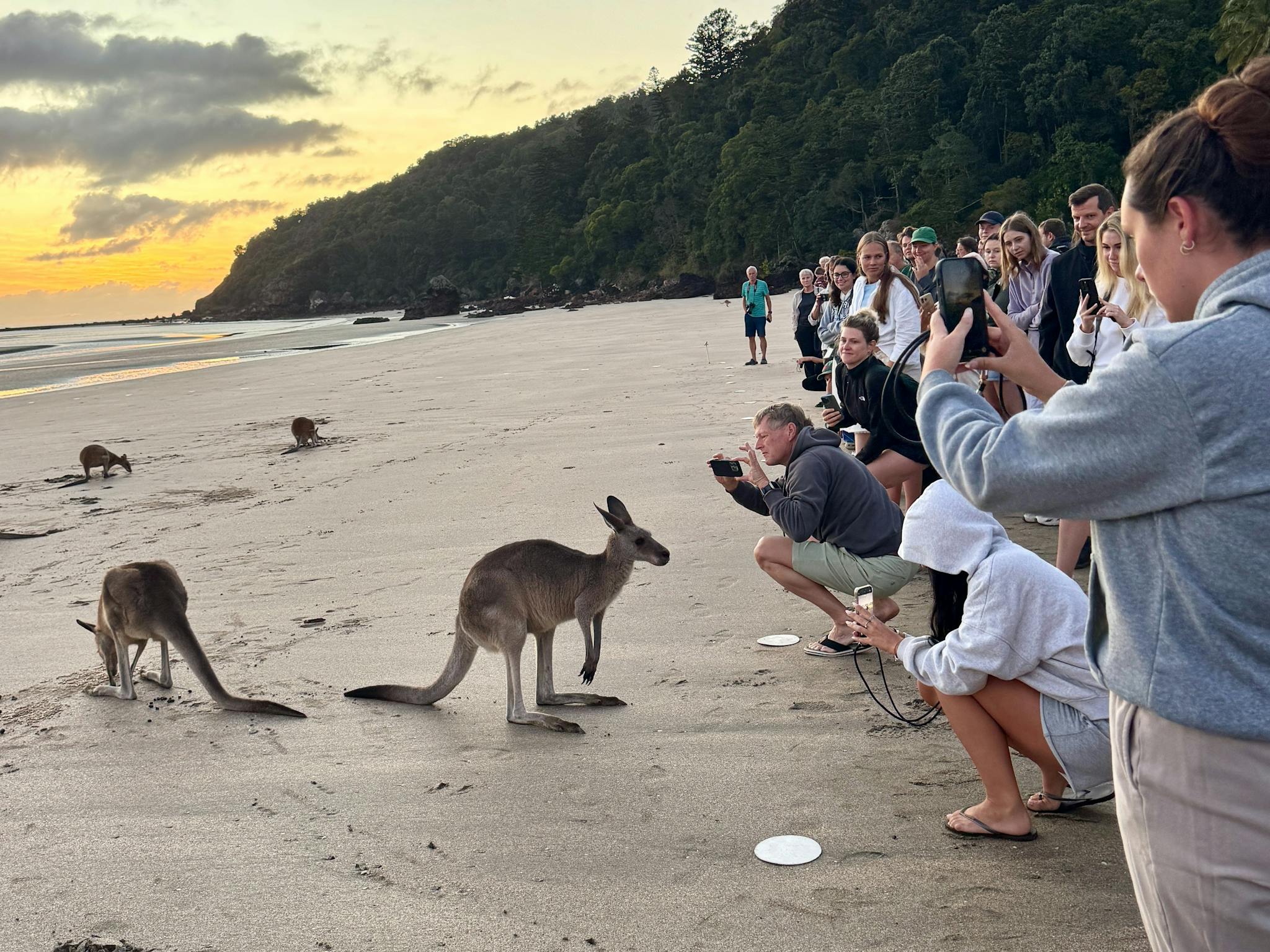 Cape Hillsborough Cape Hillsborough