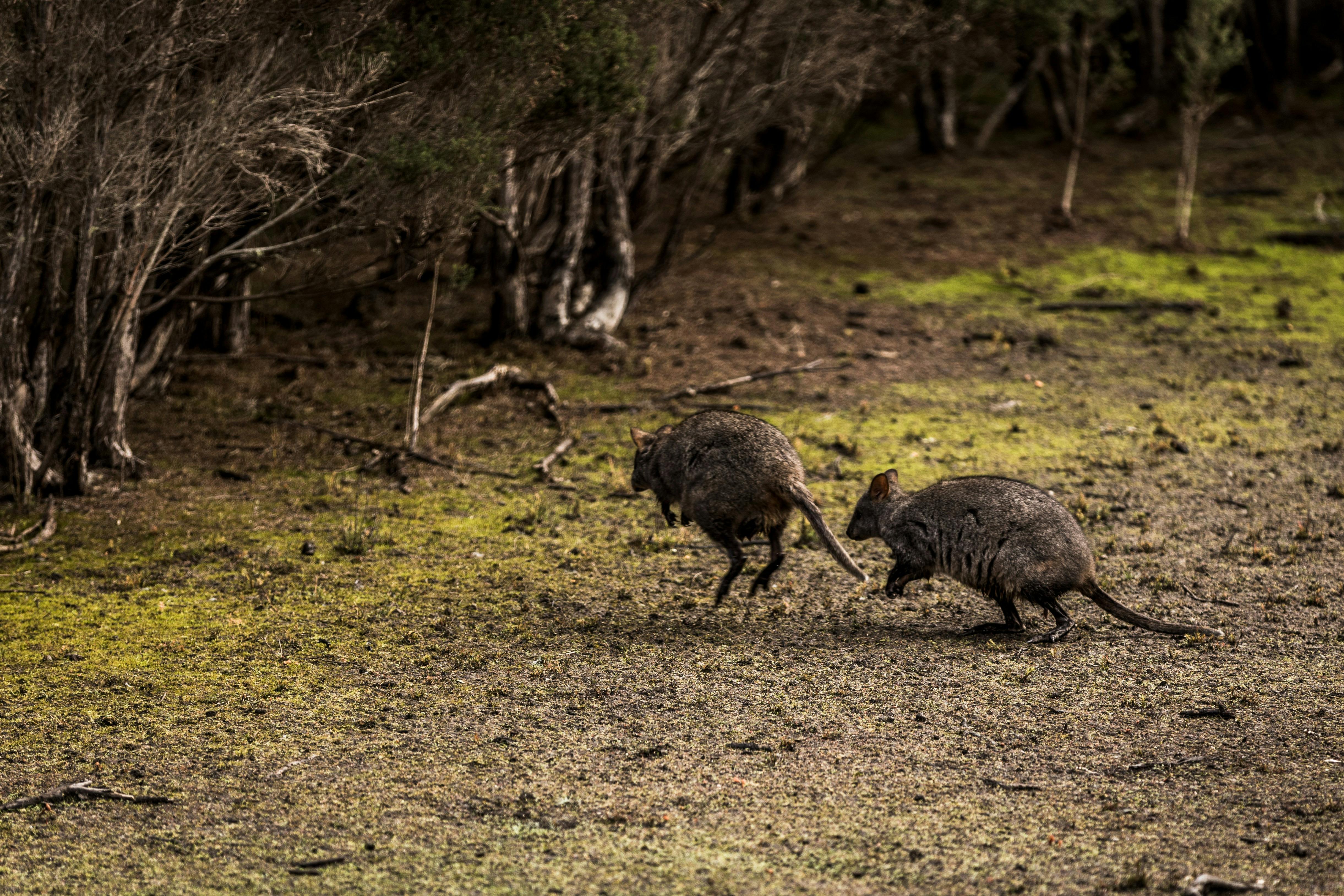 Black River Campground