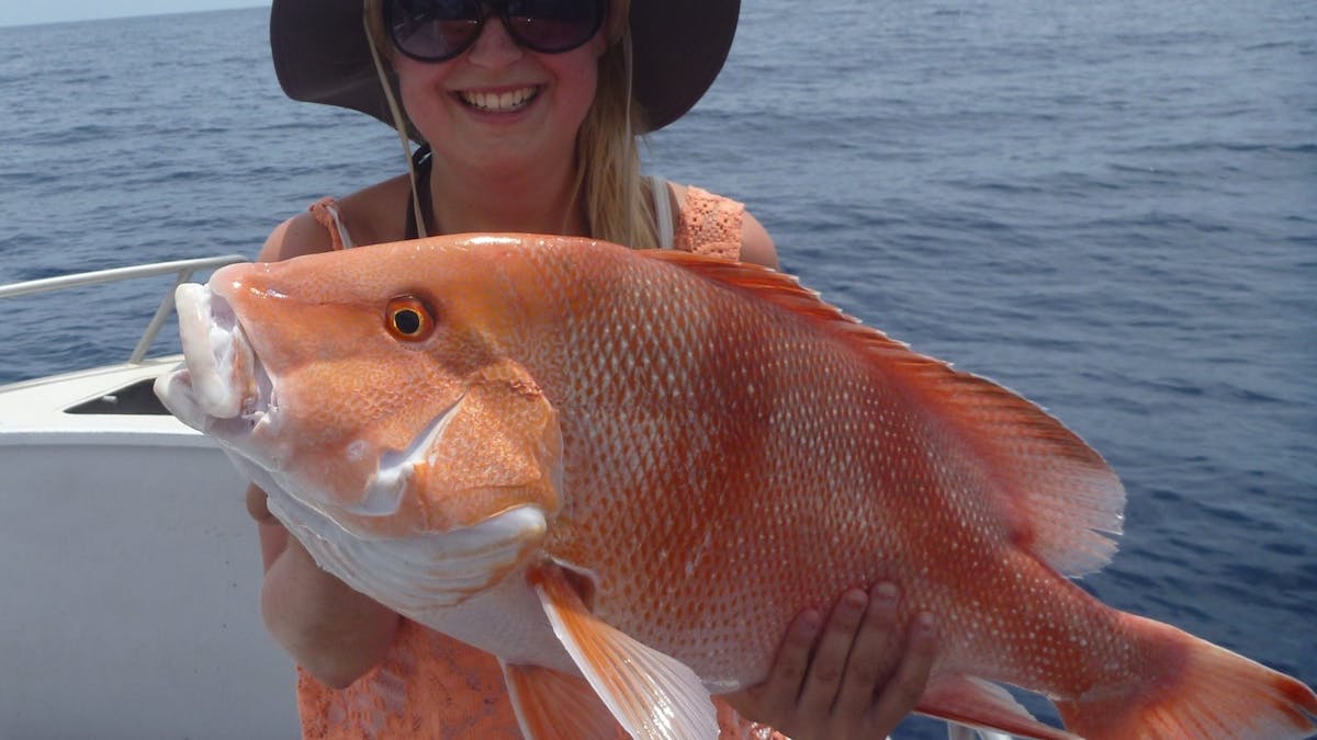Fish Photo
