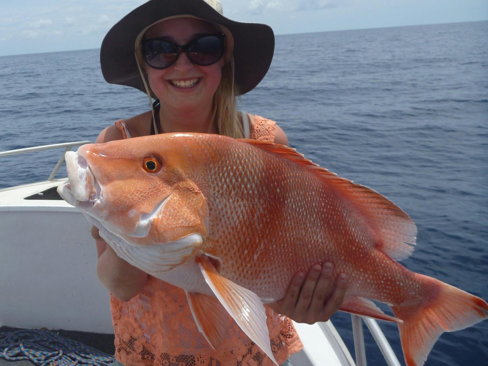 Fish Photo Fish Photo