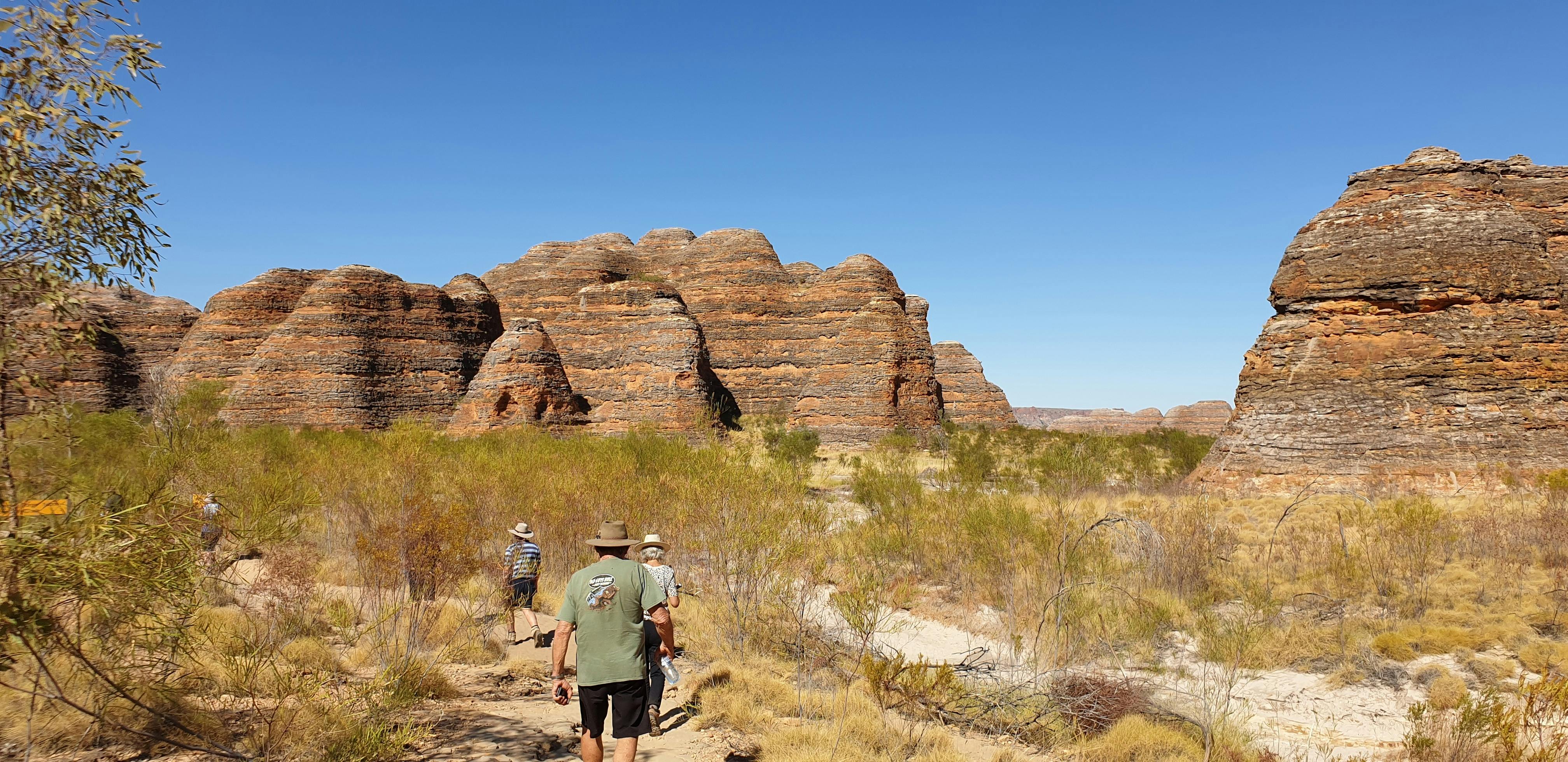 Walking in the Bungles