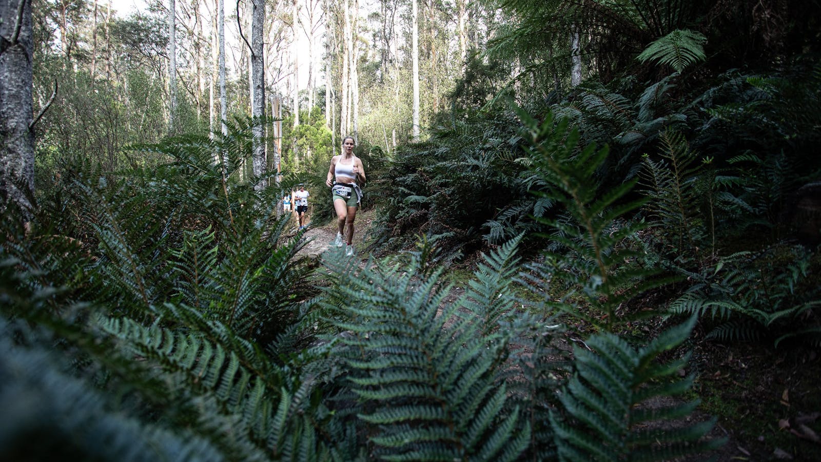 A runner passes ferns during their kMR event
