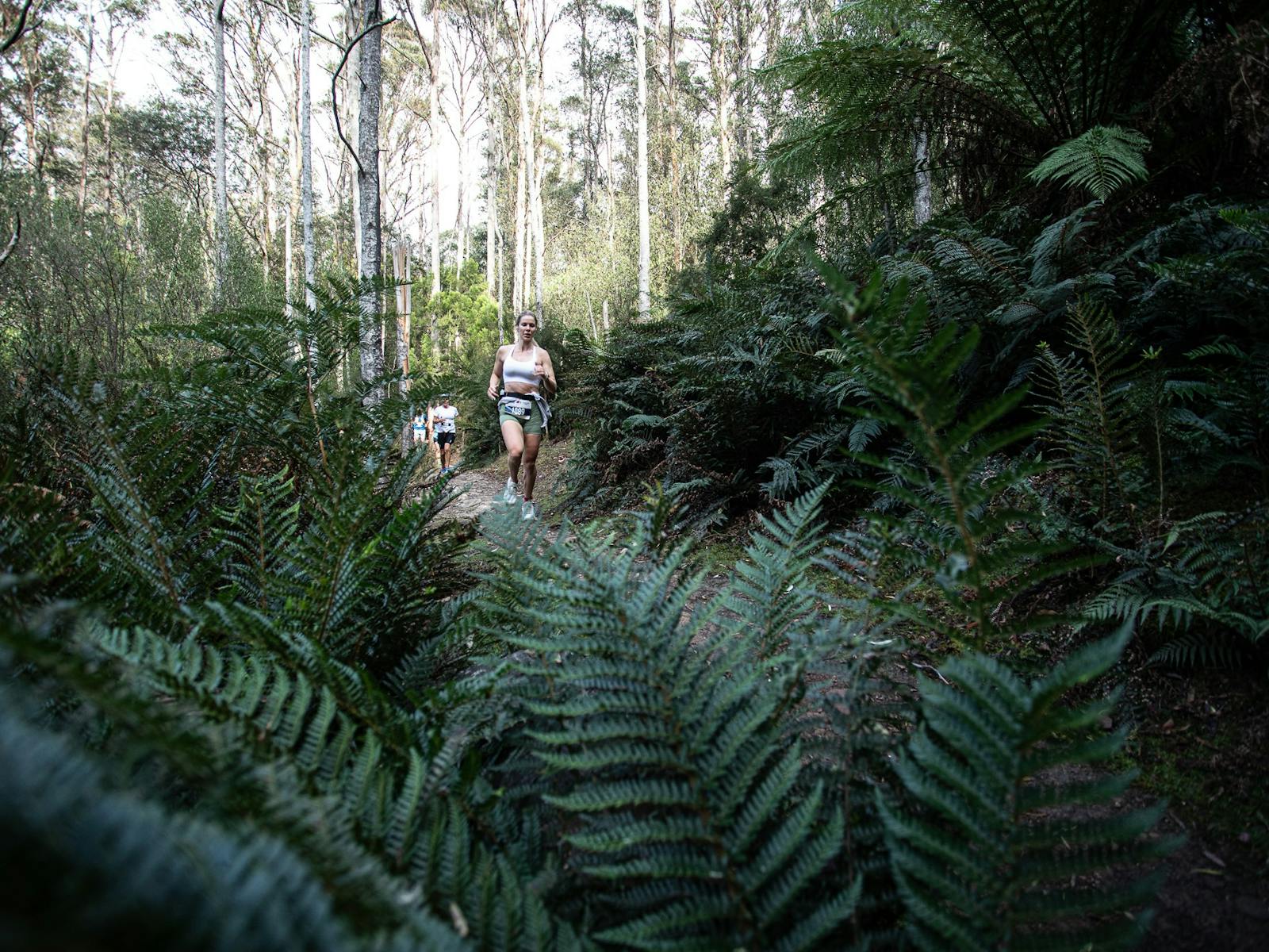 A runner passes ferns during their kMR event