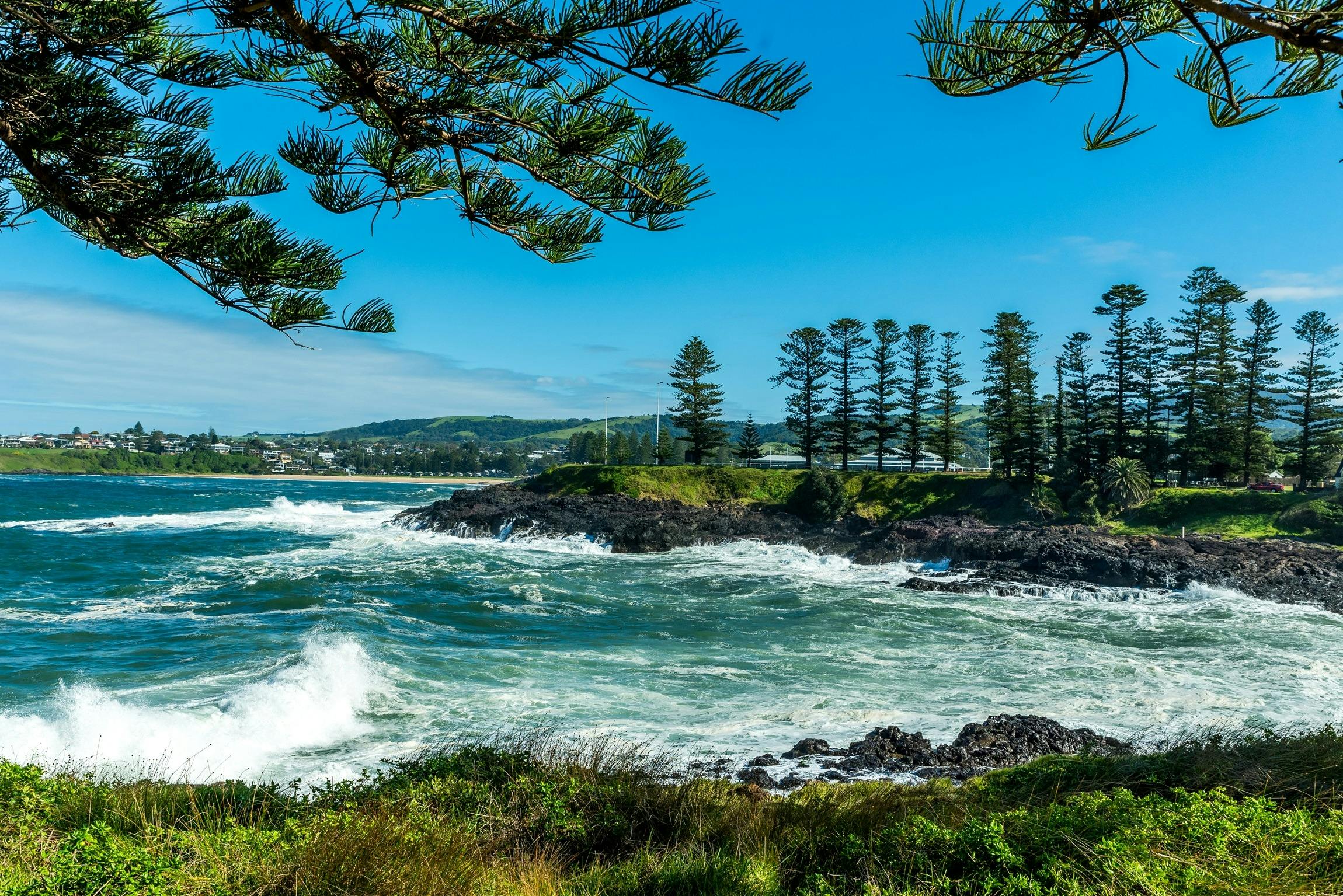 Waves crashing against rocky coastline with Norfolk Island Pine Trees at waters edge