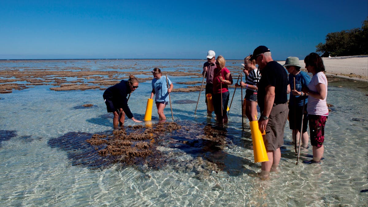 Lady Elliot Island Eco Resort