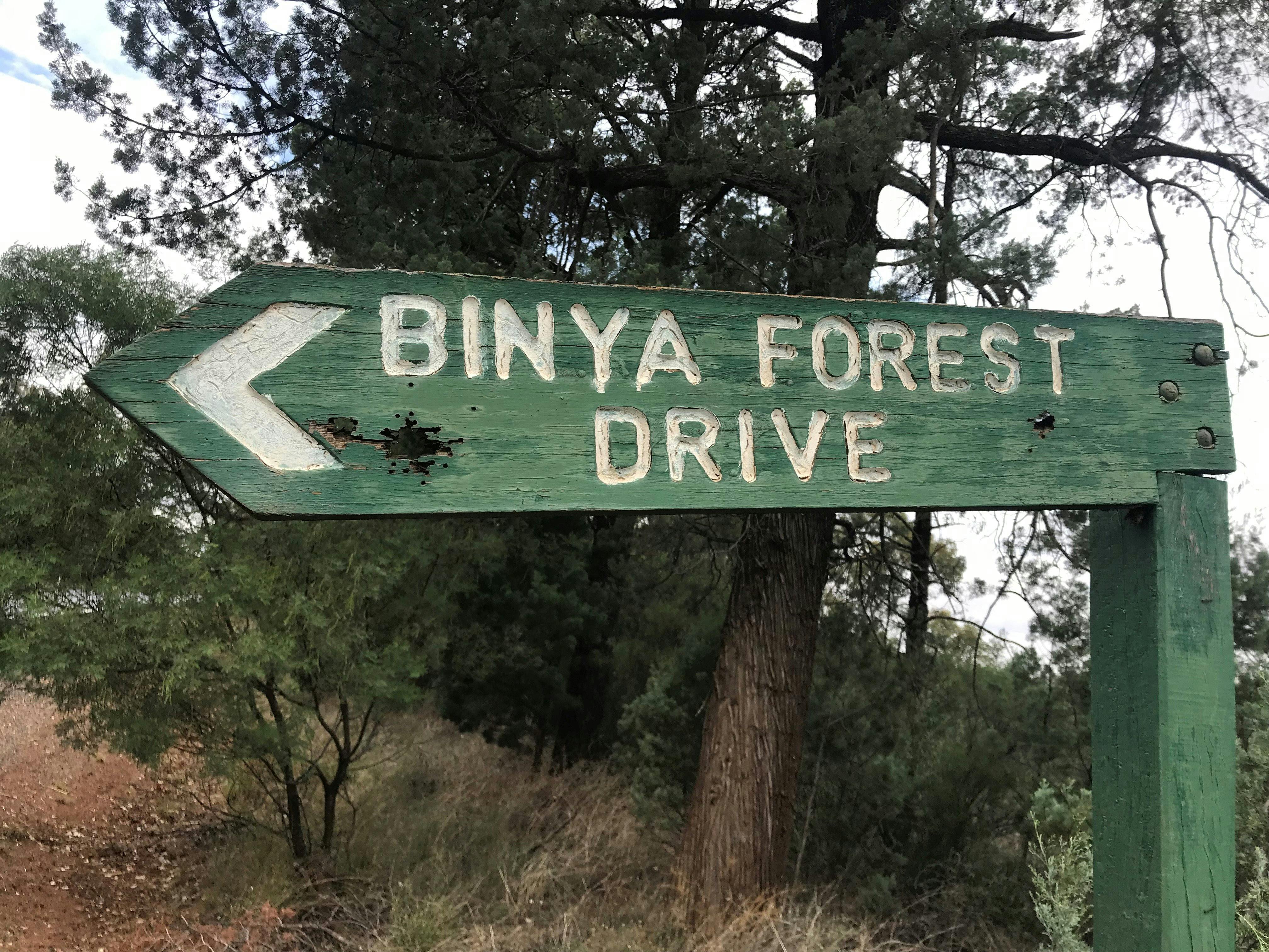 Binya image