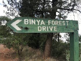 Binya image