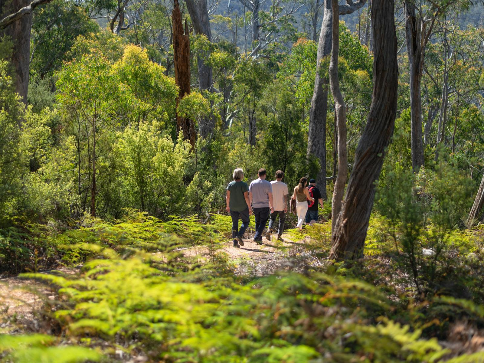 Landscape rich in Tasmanian Aboriginal heritage and culture