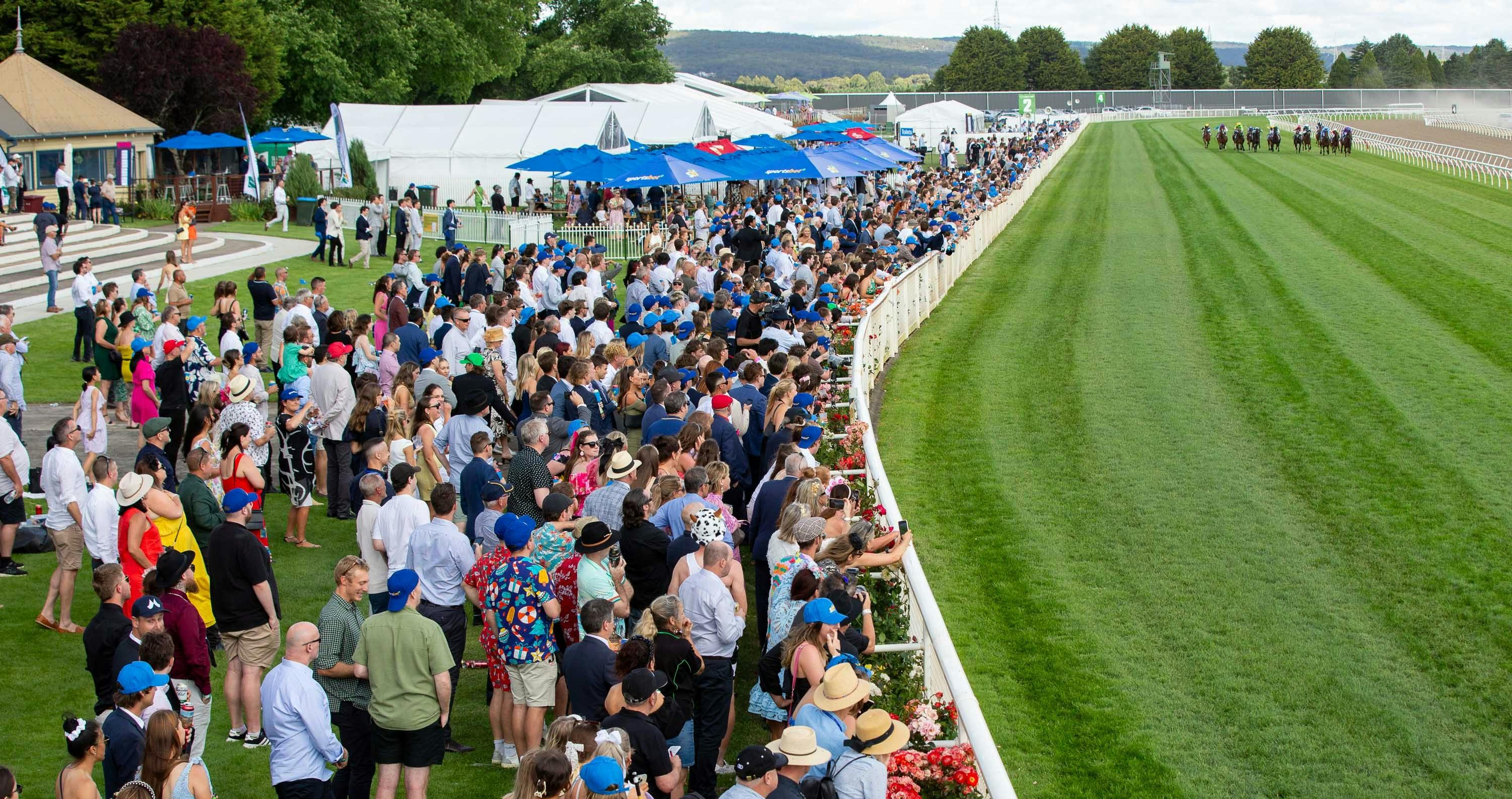 A big crowd watching and cheering a race as the horses go  past.