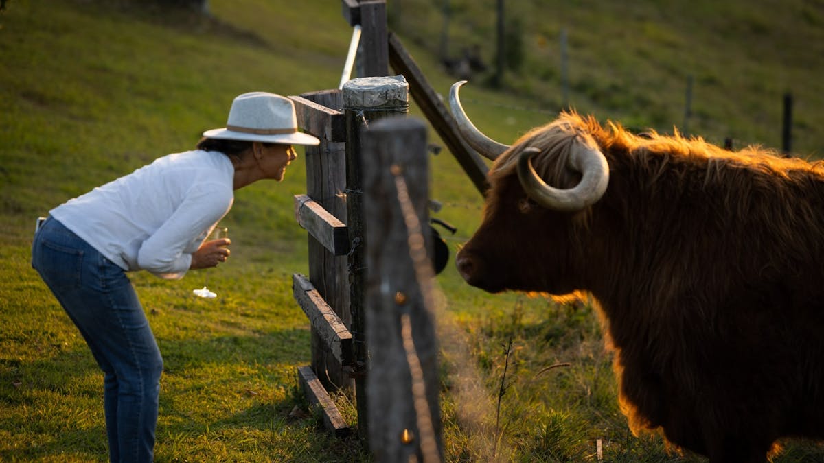 Meet one of three highland cows. We also have chickens for fresh eggs and supply honey from our hive