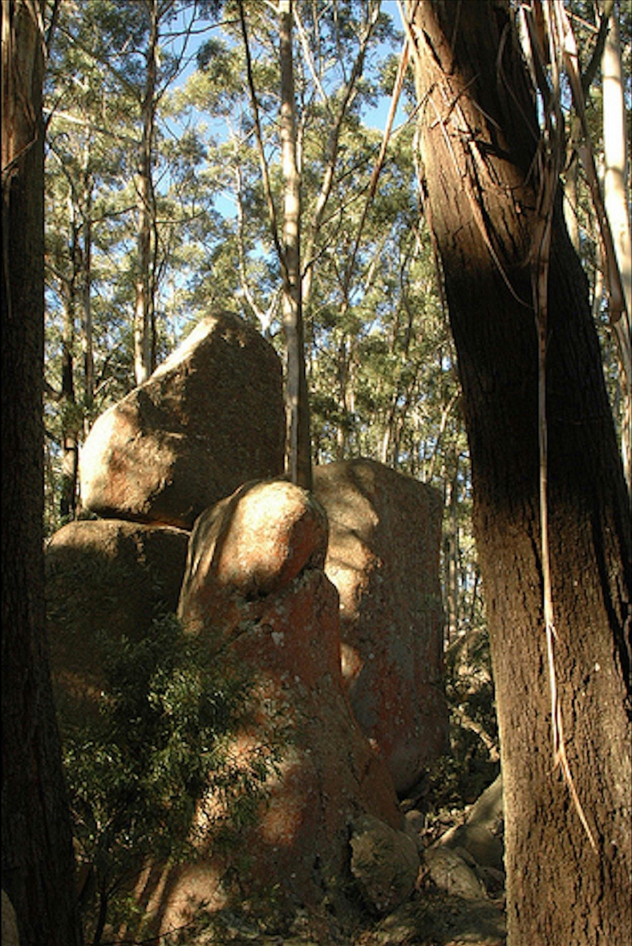 Gulaga National Park