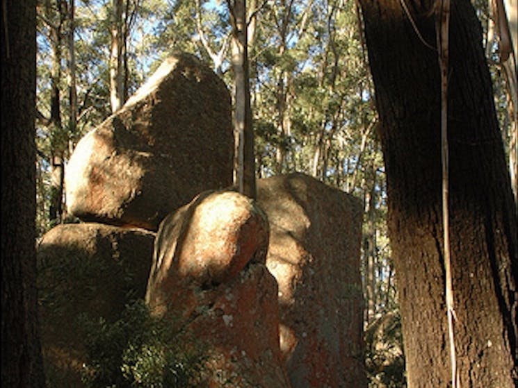 Gulaga National Park