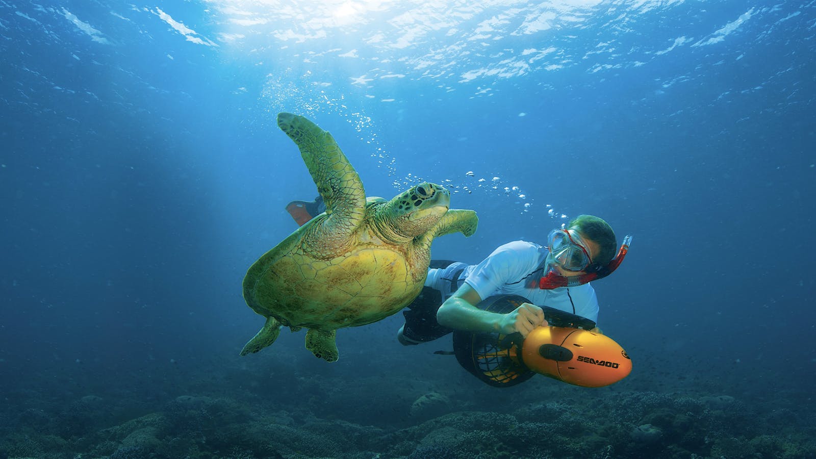 Adventure Moreton Island