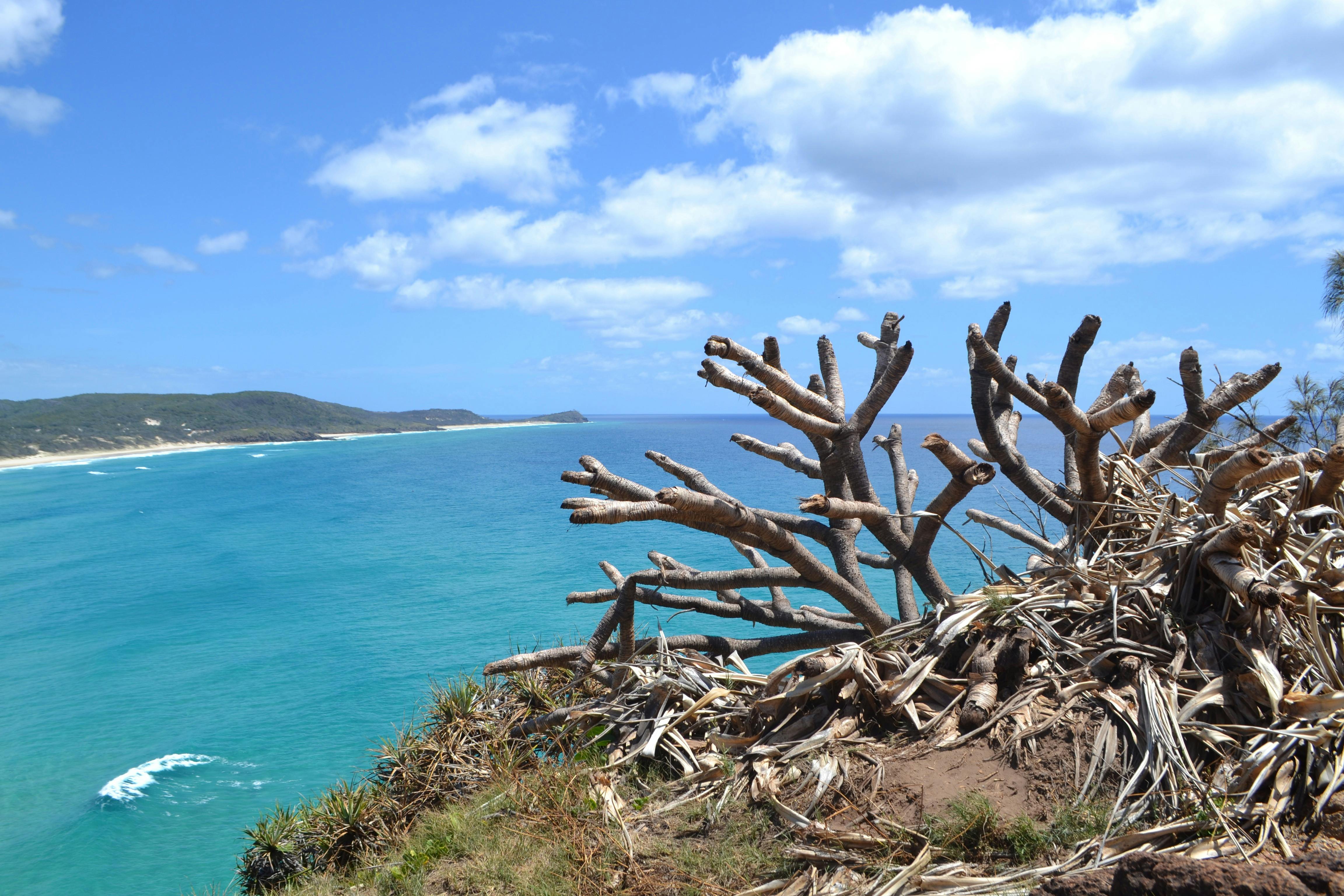 3-Day, 2-Night K'gari (Fraser Island) Tag-Along 4WD Tour