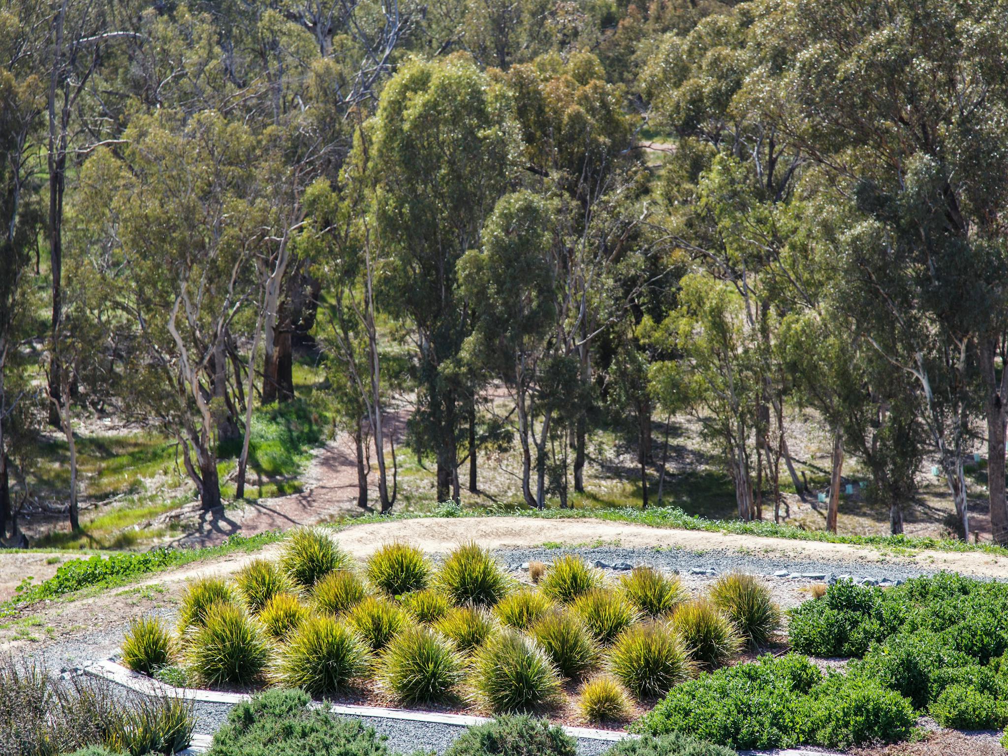Australian Botanic Gardens Shepparton