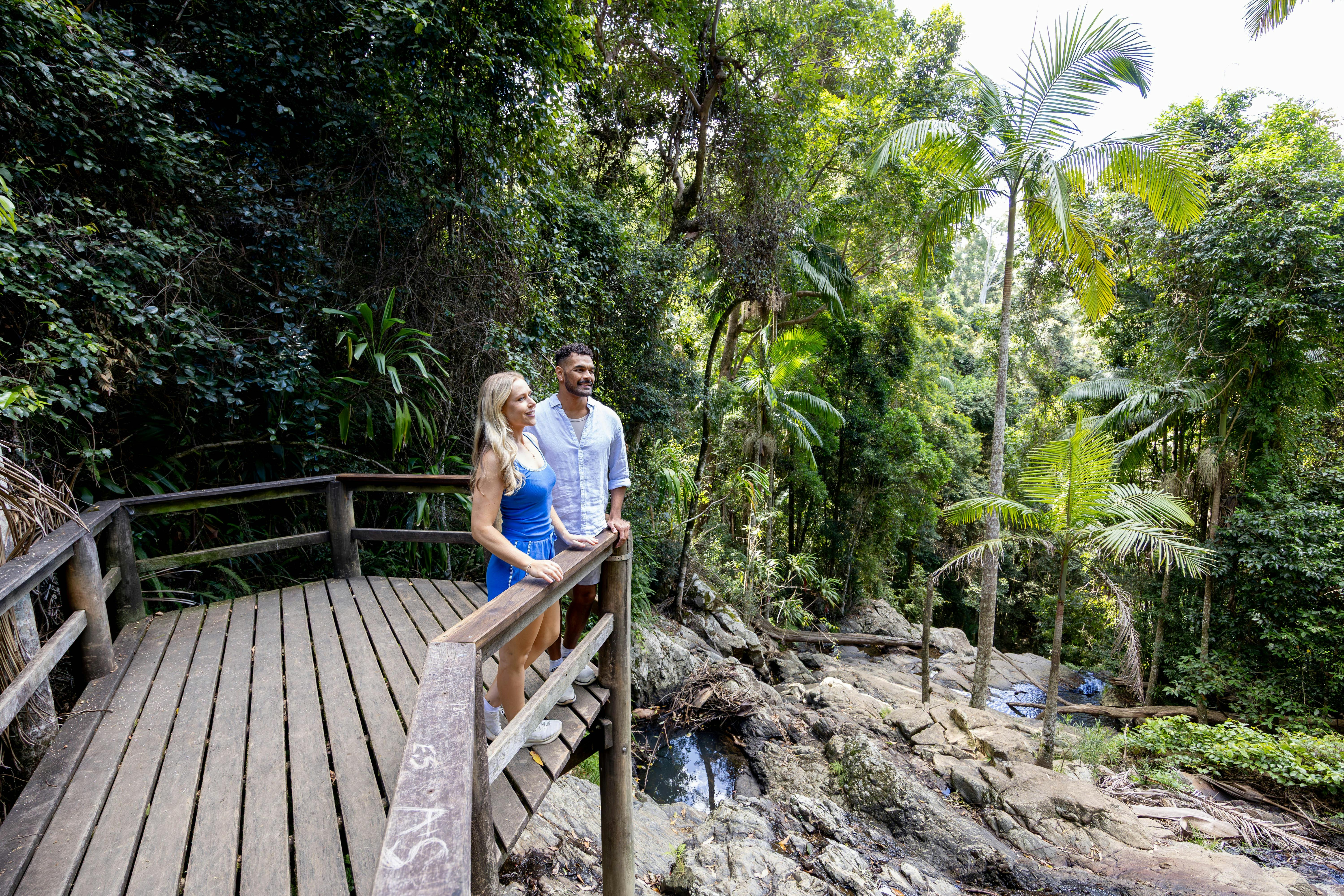 Rainforest Circuit Green Falls Track Maiala