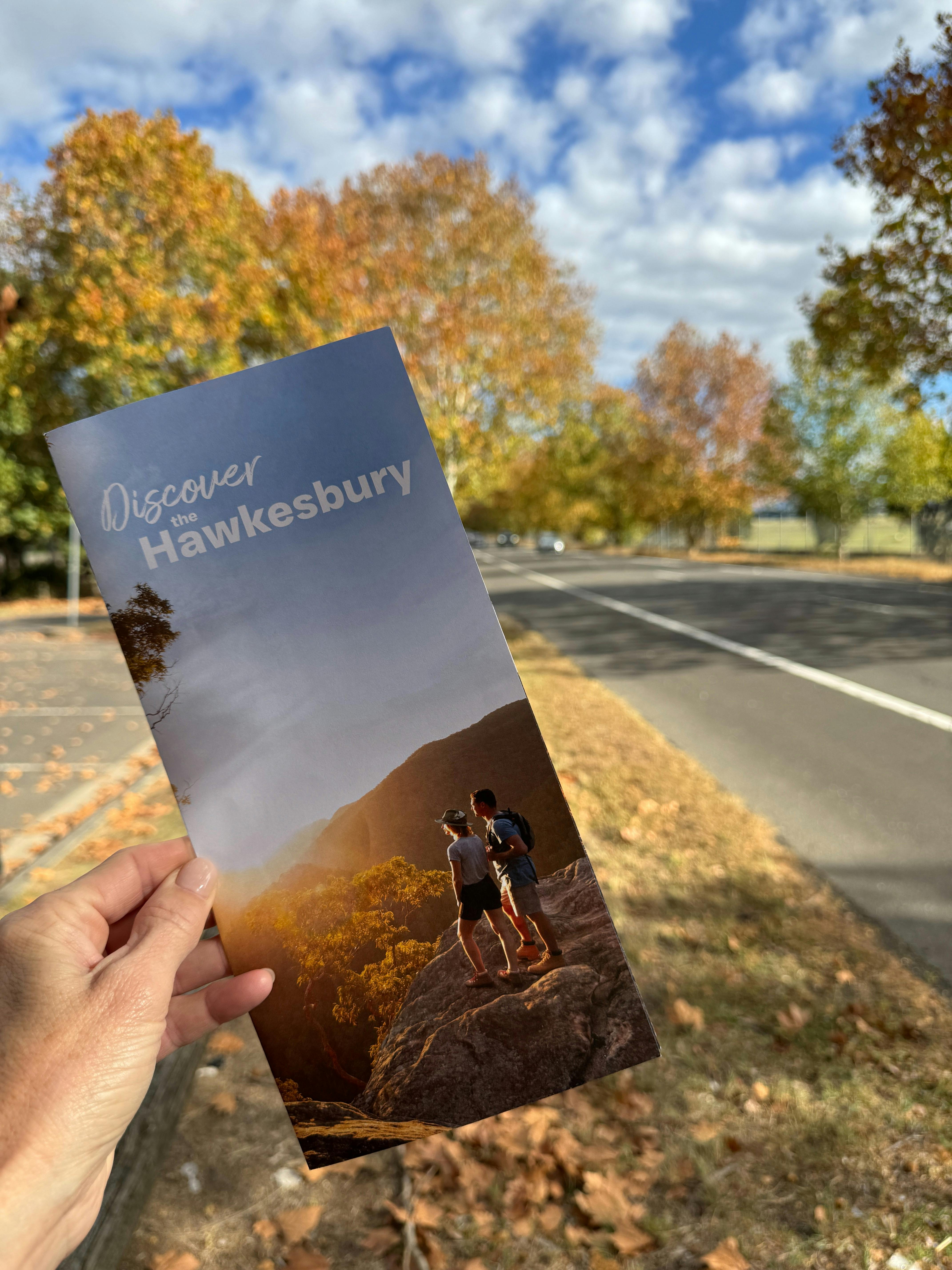 Visitor Highlights