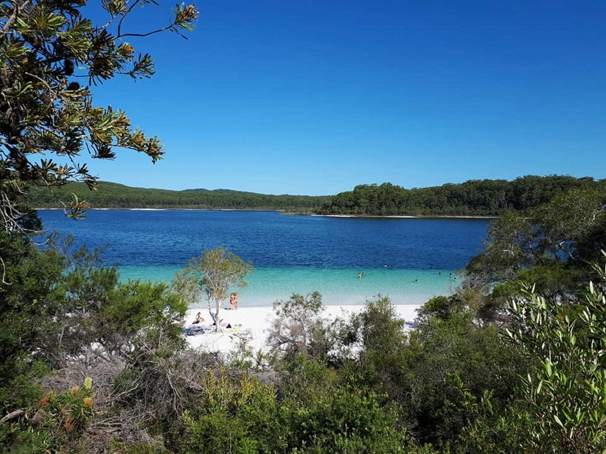 1 Day - Fraser Island