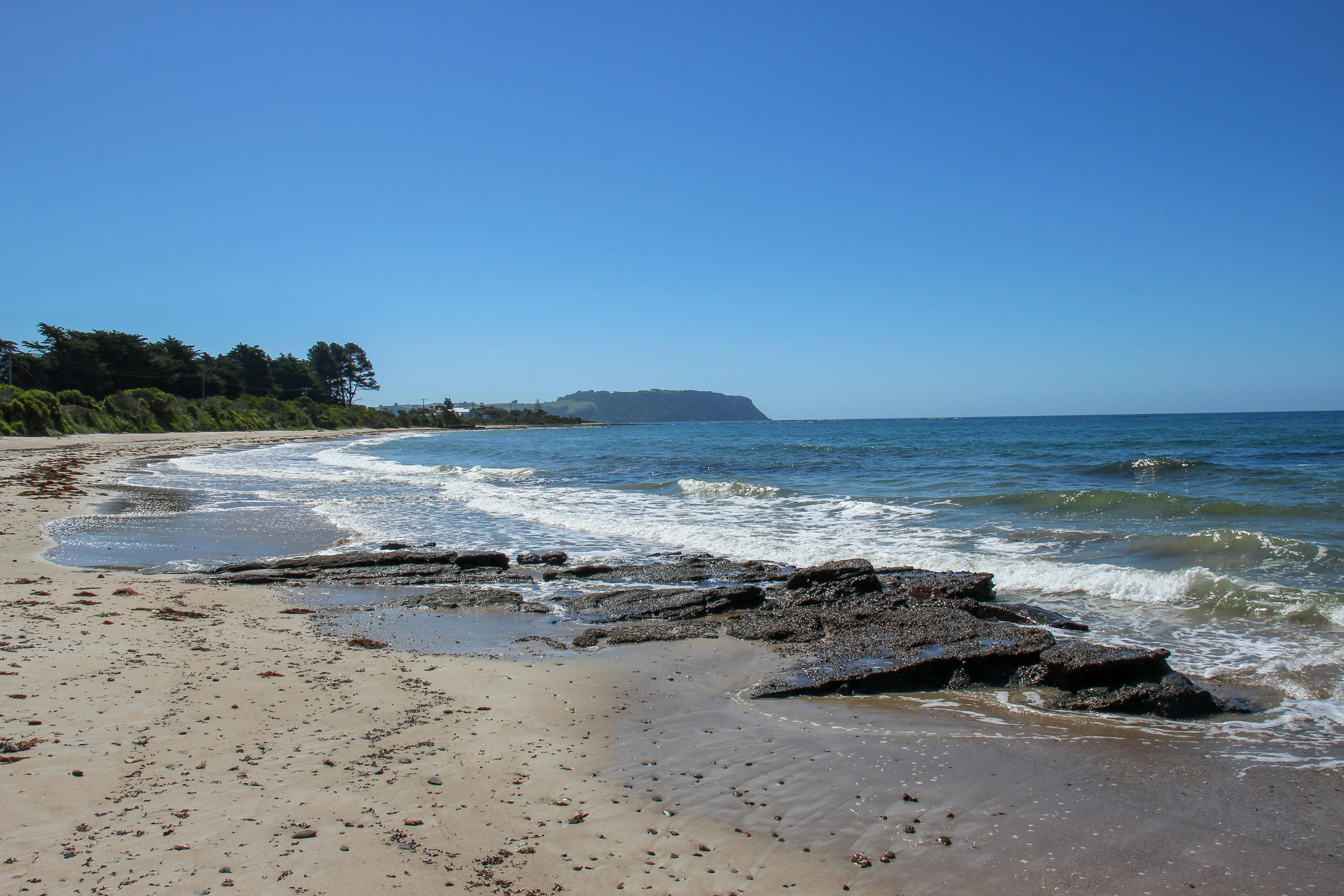 East Wynyard Foreshore
