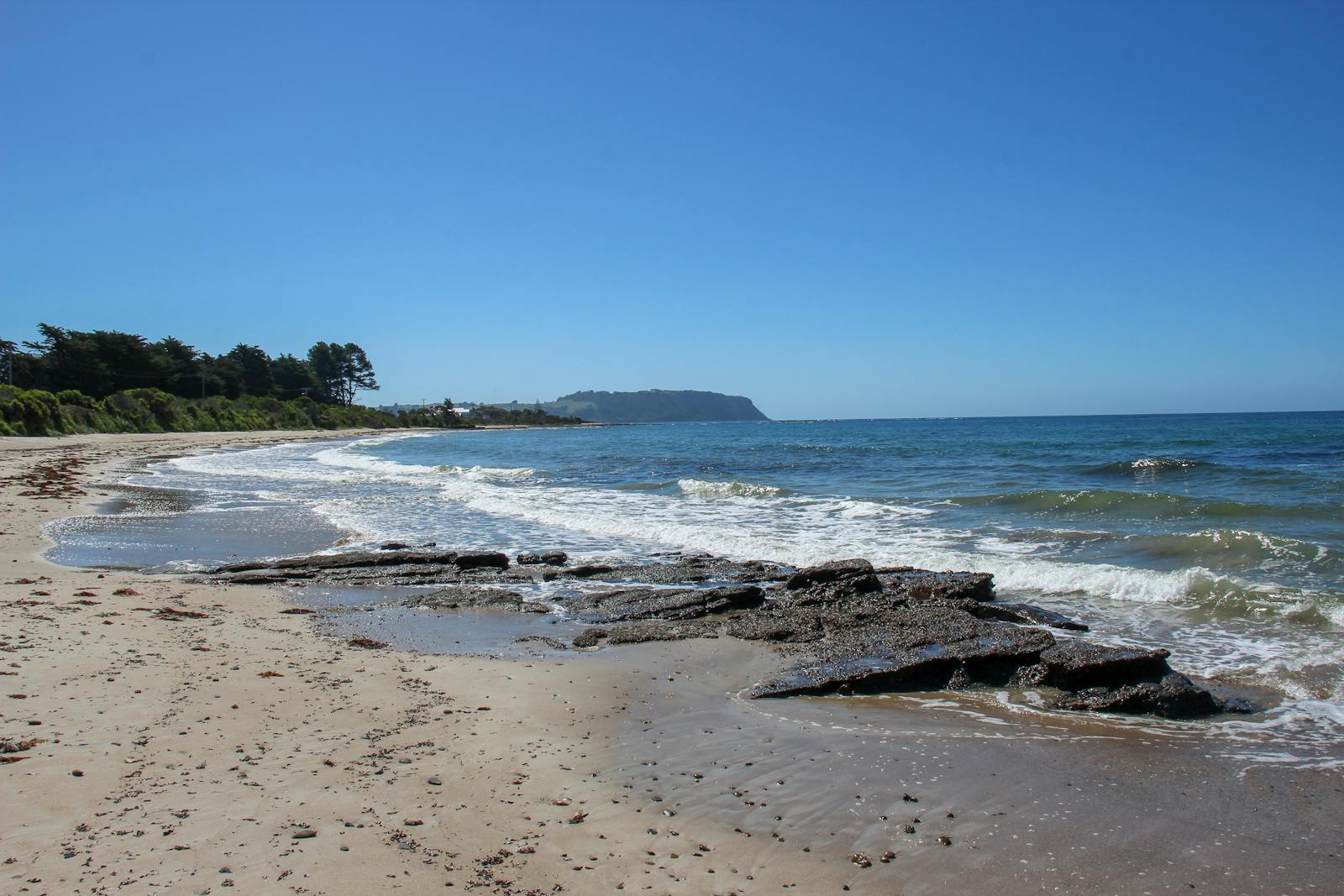 East Wynyard Foreshore