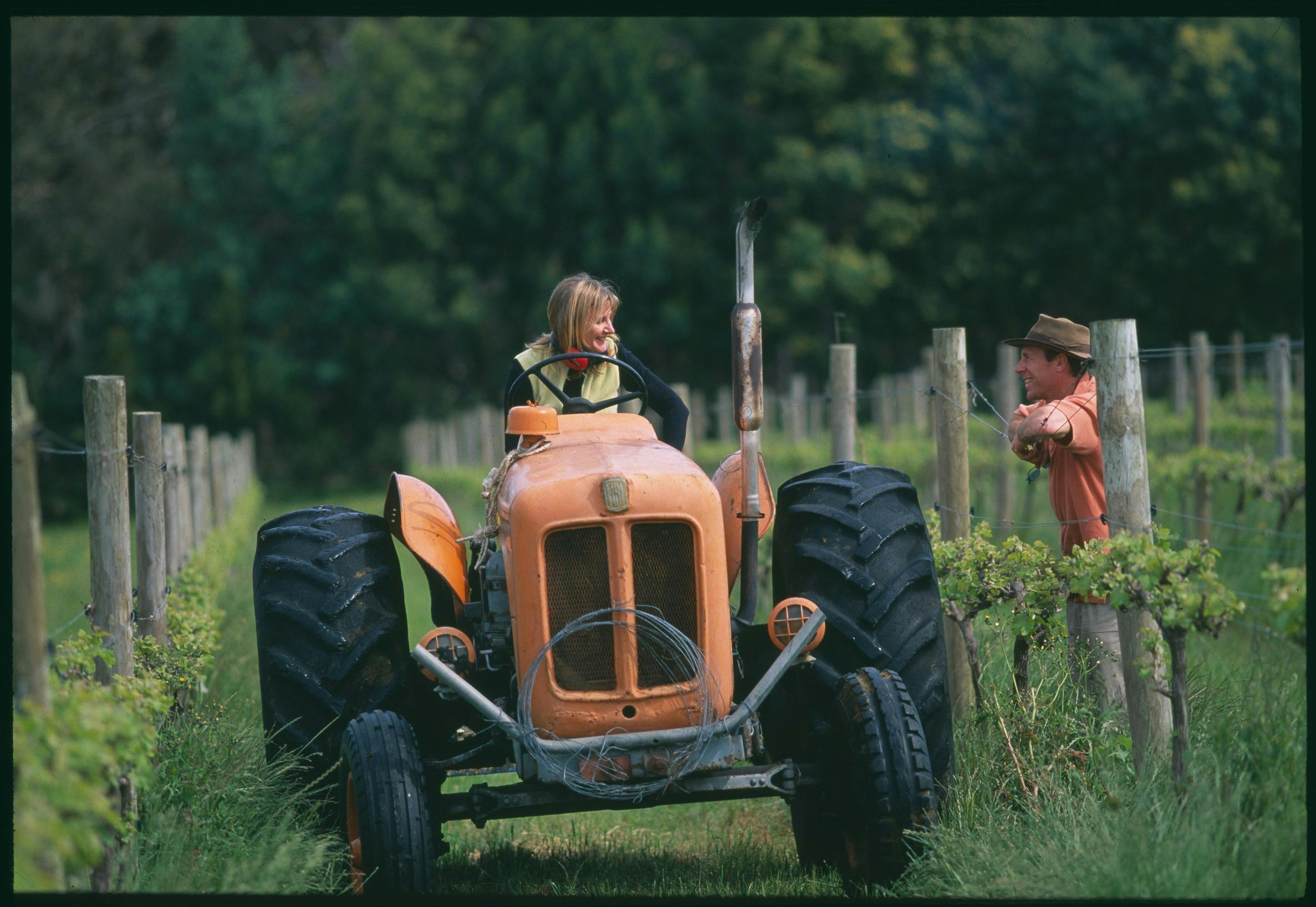 A woman on a tractor talks to a male leaning on the vineyard trellistalks to a male