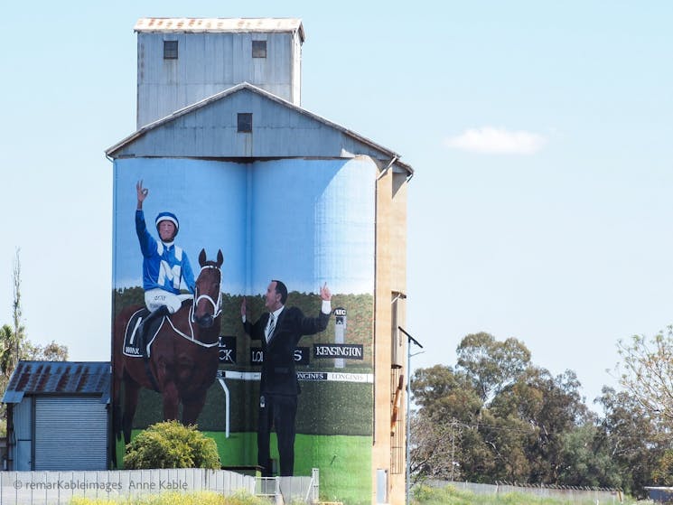 Dunedoo Silo Art