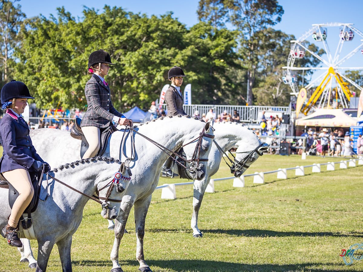 3 young equestrian riders on horses with ferris wheel in background 3 young equestrian riders on horses with ferris wheel in background