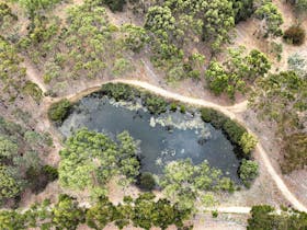 Greenrise Swamp Penola - Drone Image