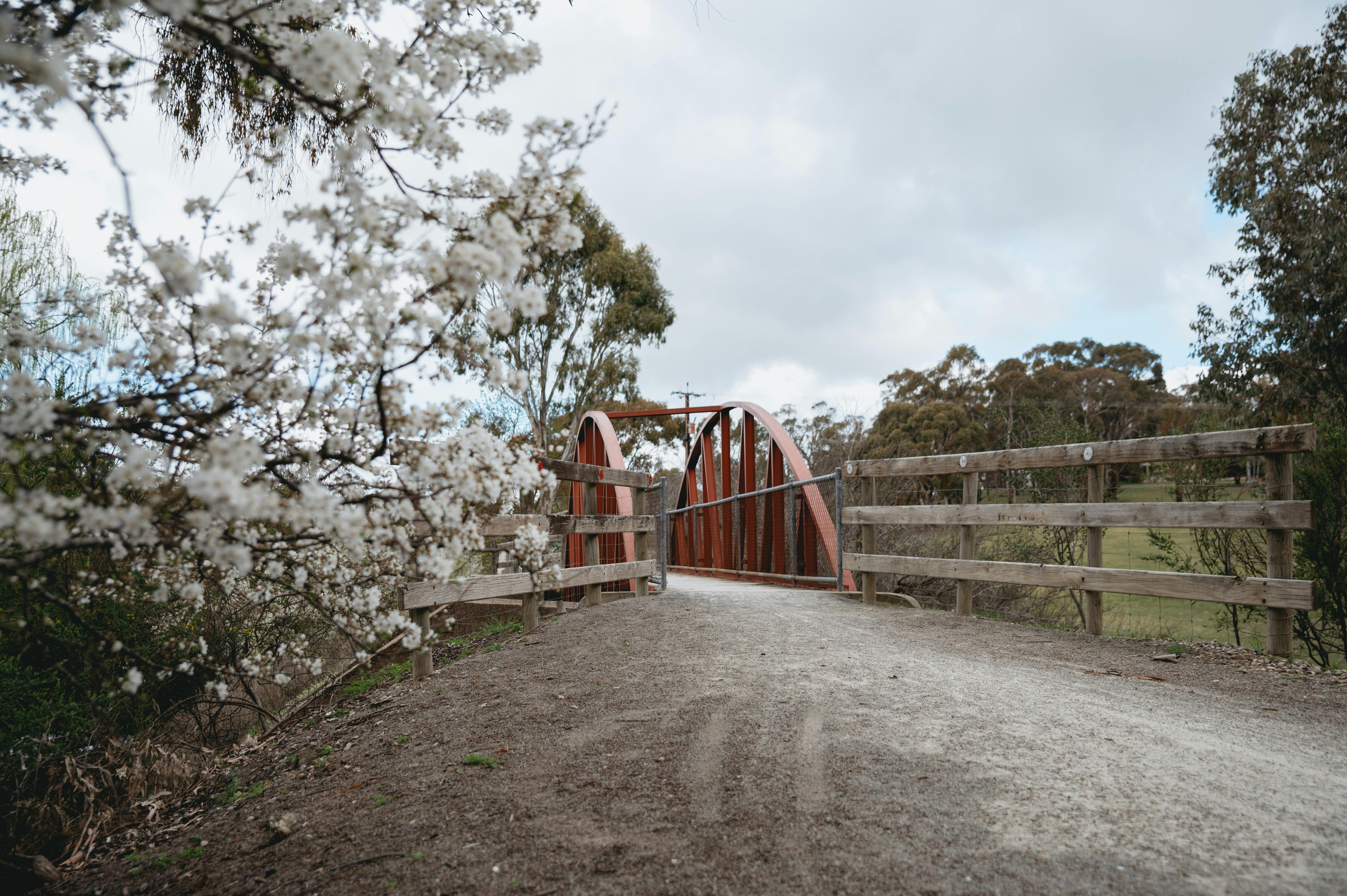 Clare to Sevenhill Short Walk