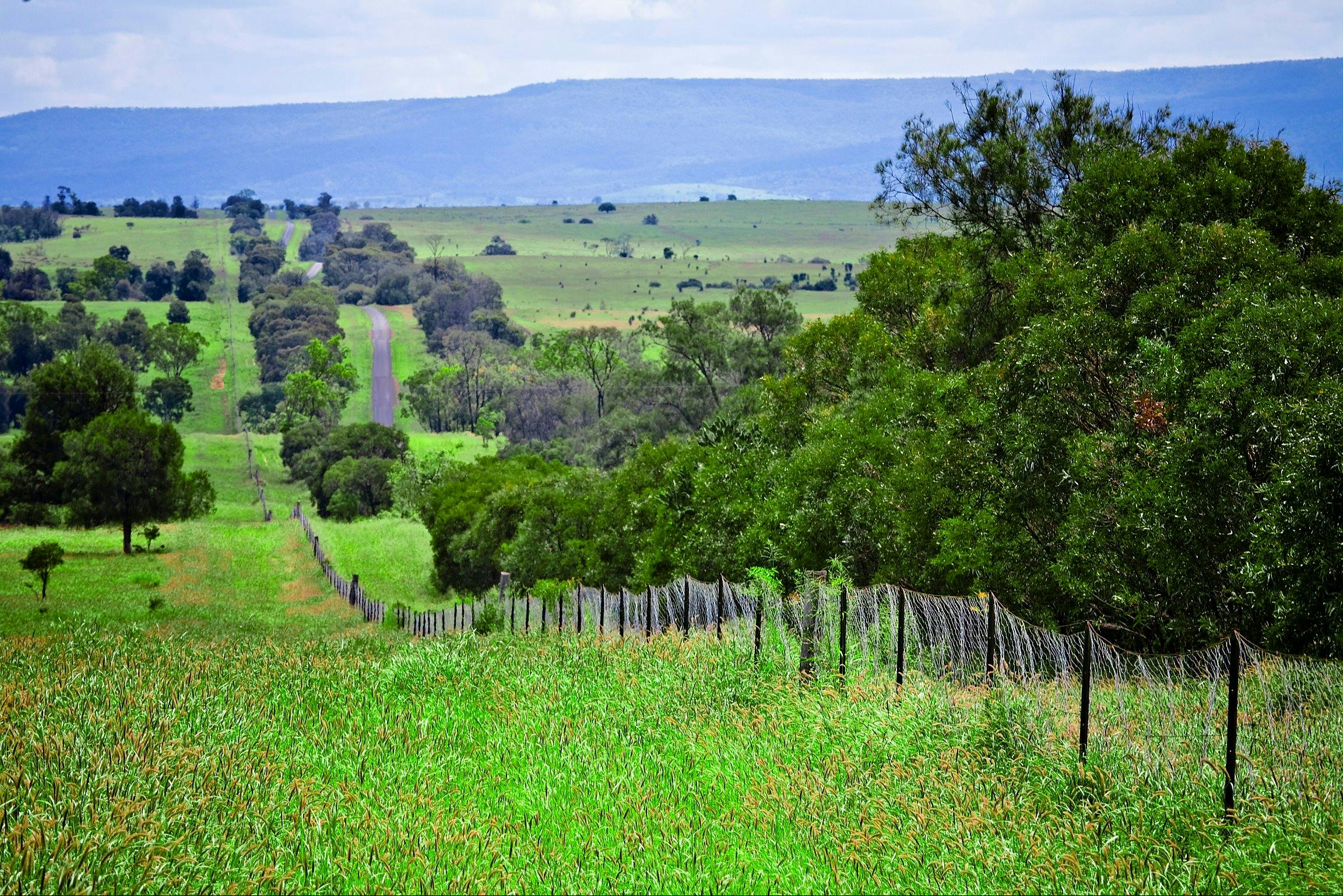 Dingo Barrier Fence, Injune QLD