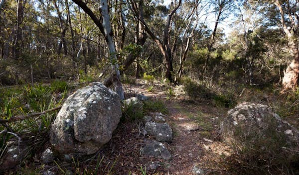 Tuross Falls walking track