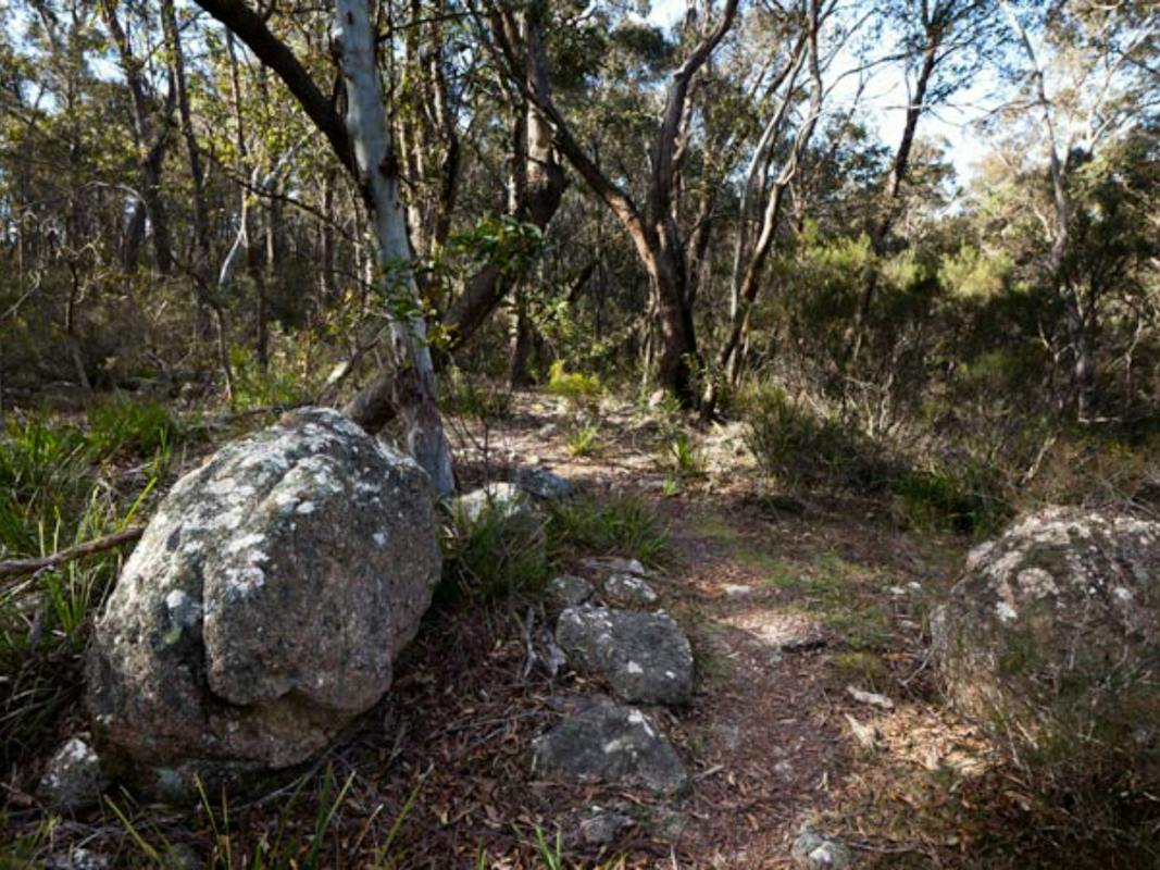 Tuross Falls walking track
