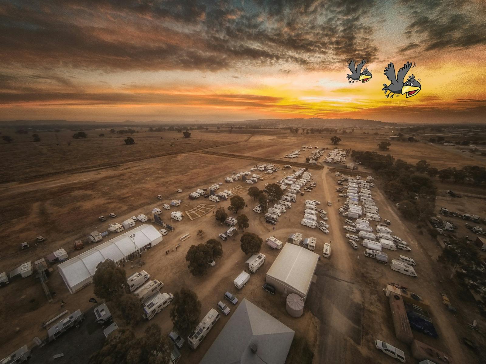 Image for Stone the Crows Festival
