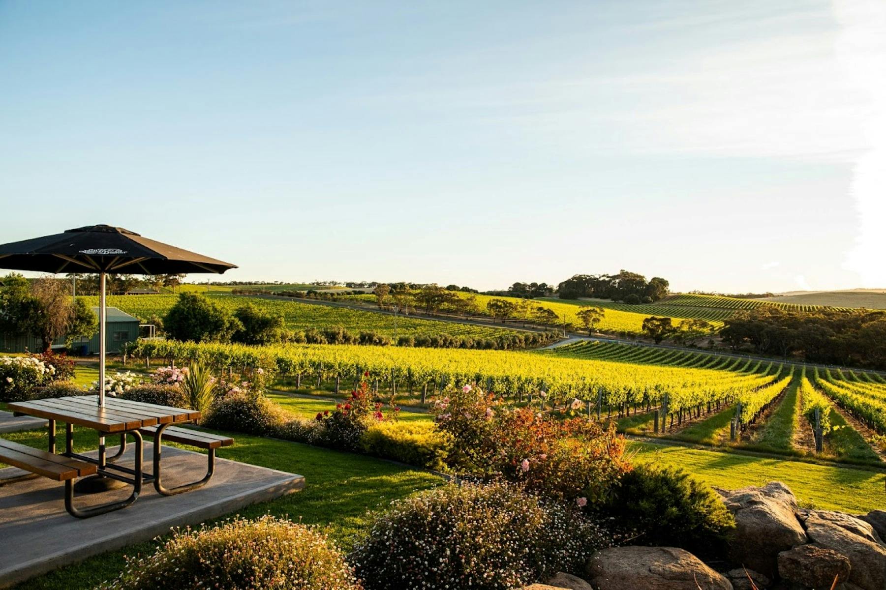McLaren Vale Private Wine Tour
