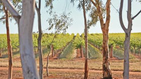 Trentham Estate Winery